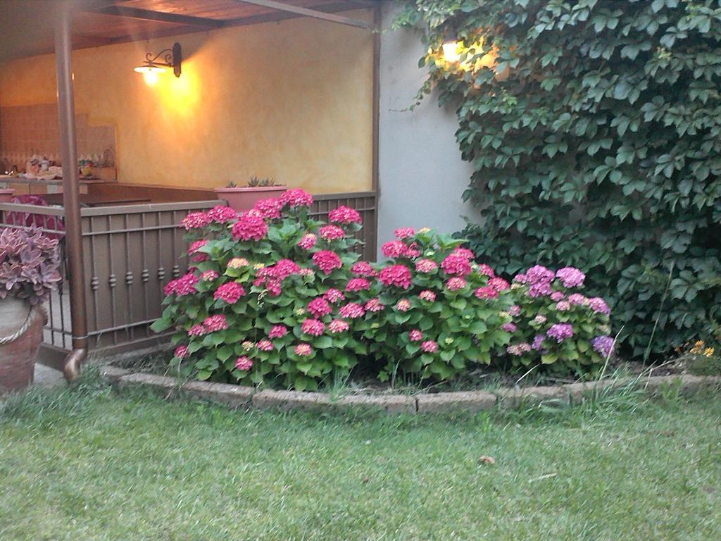 Case Vacanza Villa Doria Valledoria  Chambre photo